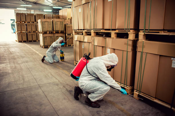 Best Emergency Pest Control  in Des Moines, WA