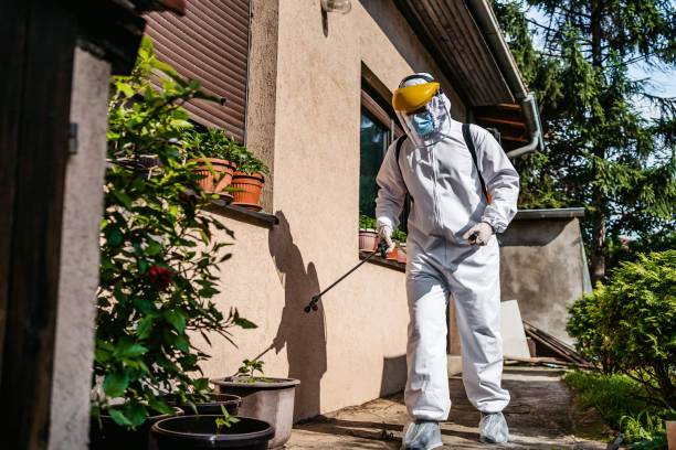 Best Best Pest Control Companies  in Des Moines, WA