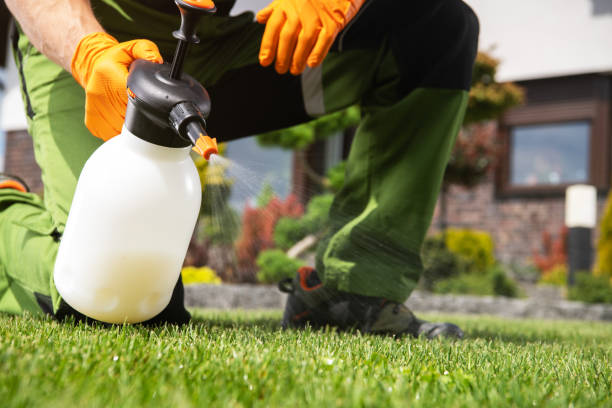 Best Affordable Pest Control Services  in Des Moines, WA
