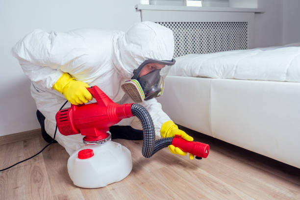 Best Exterminator Services  in Des Moines, WA