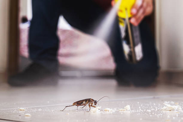 Best Emergency Pest Control  in Des Moines, WA