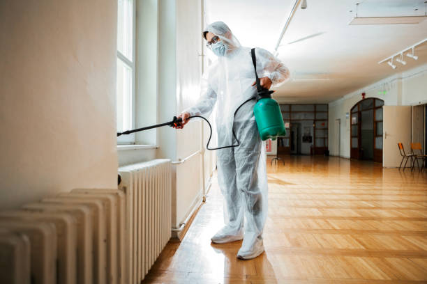 Best Insect Control  in Des Moines, WA