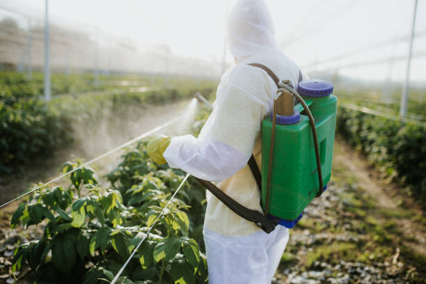 Pest Control for Restaurants in Des Moines, WA
